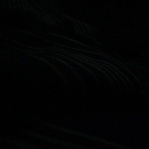 Meet your Posher, Luis